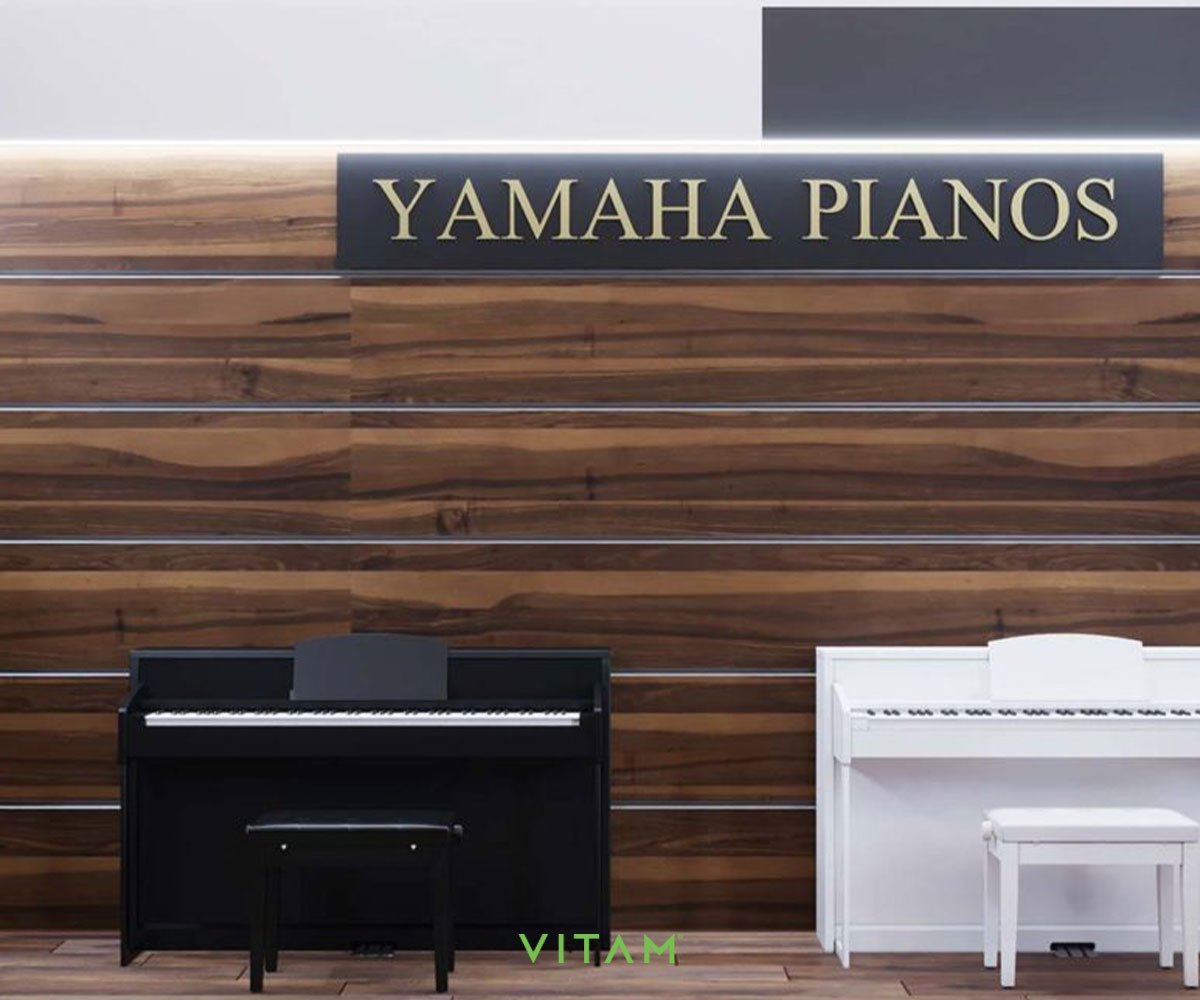 VITAM VISUALS — Music Galery