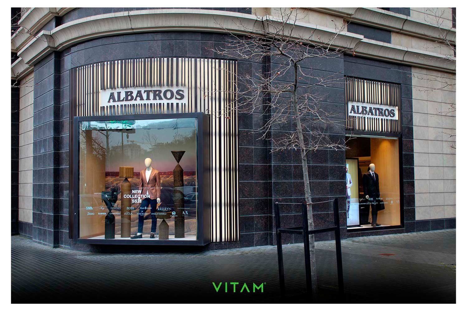 VITAM VISUALS — Albatros