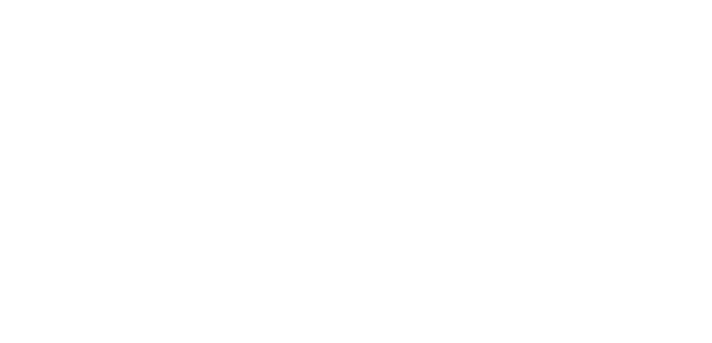 The Ritz Carlton