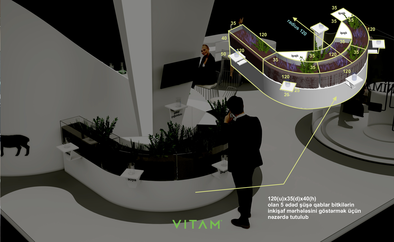 VITAM VISUALS — Azersheker