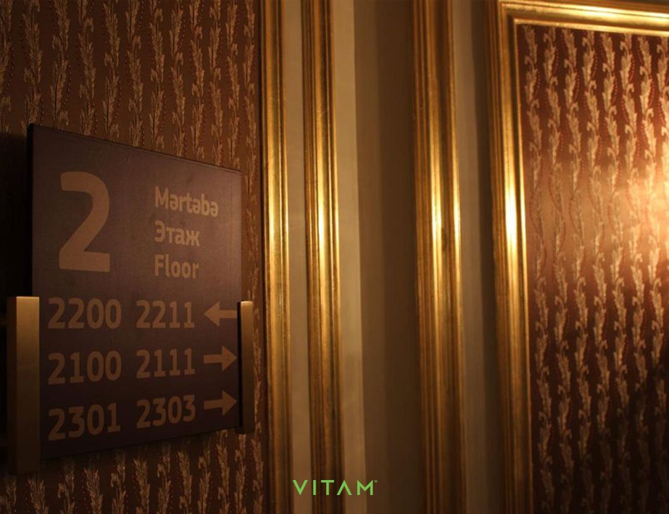 VITAM VISUALS — Shamakı Palace