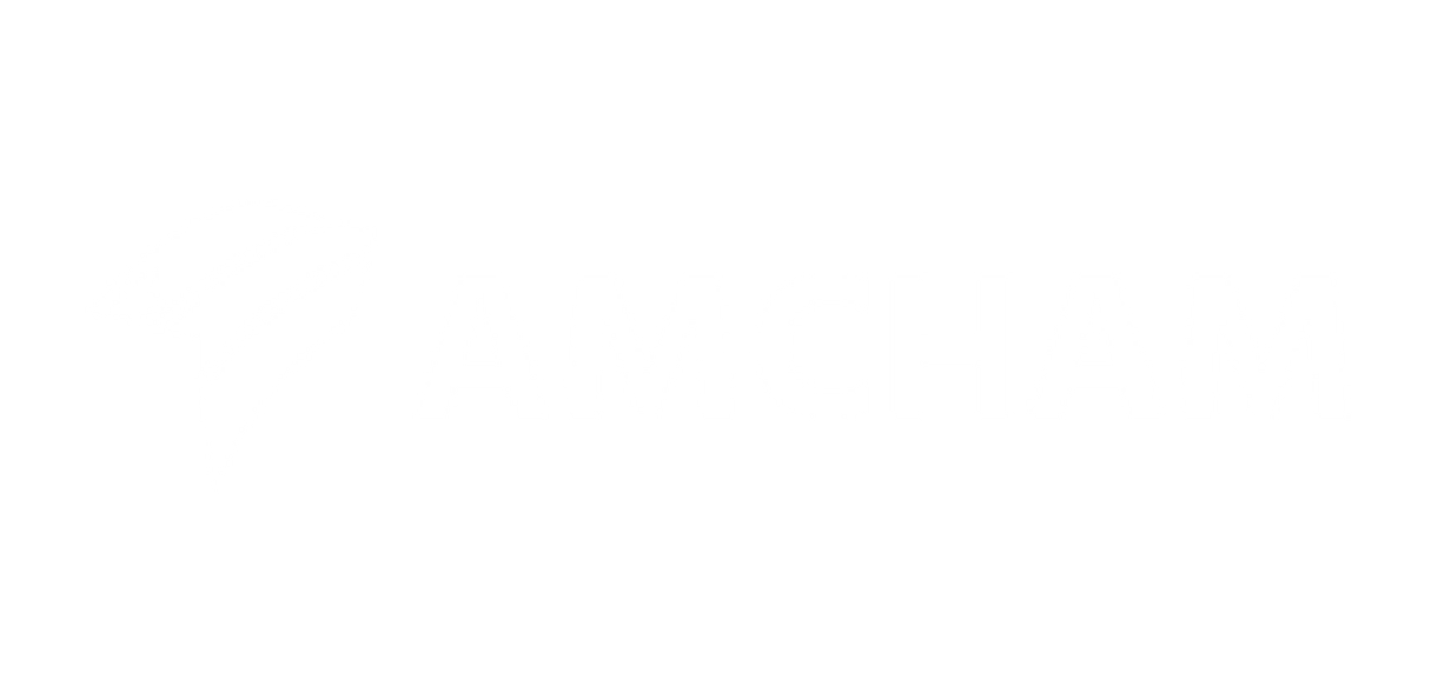 Amcham