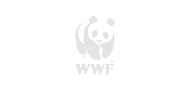 Wwf