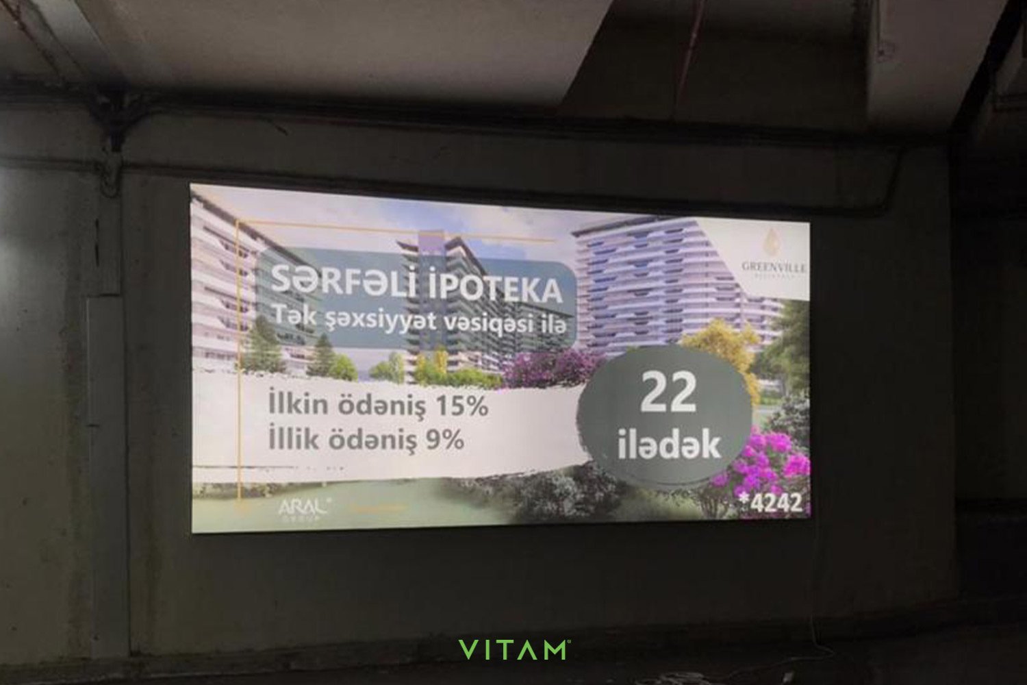 VITAM VISUALS — Boss